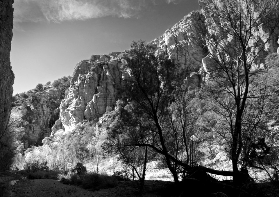 AZ - SYCAMORE CANYON   (9)
