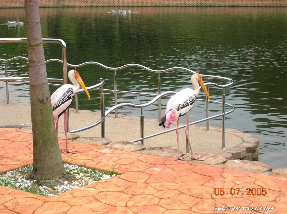 DSCN0436