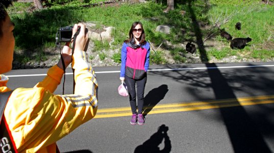 People too close to bears