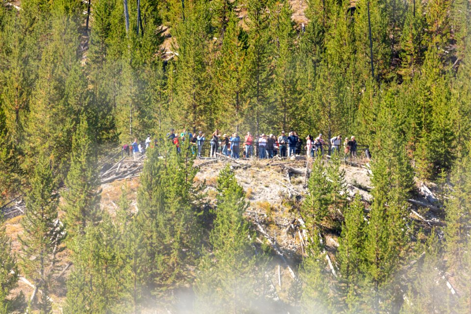 People at the Grand Prismatic Spring Overlook