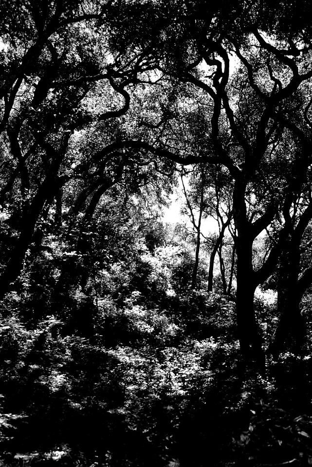 CA -  SLO COUNTY, Morro Bay area (49)