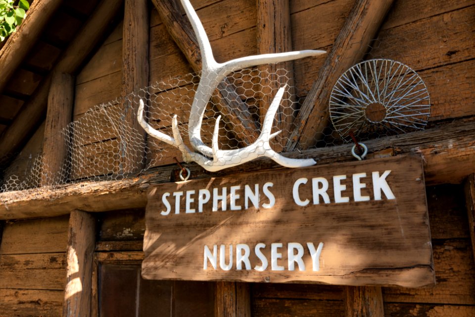 Stephens Creek Nursery (tight)
