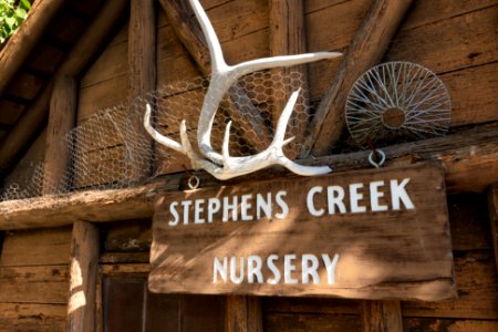 Stephens Creek Nursery (tight)