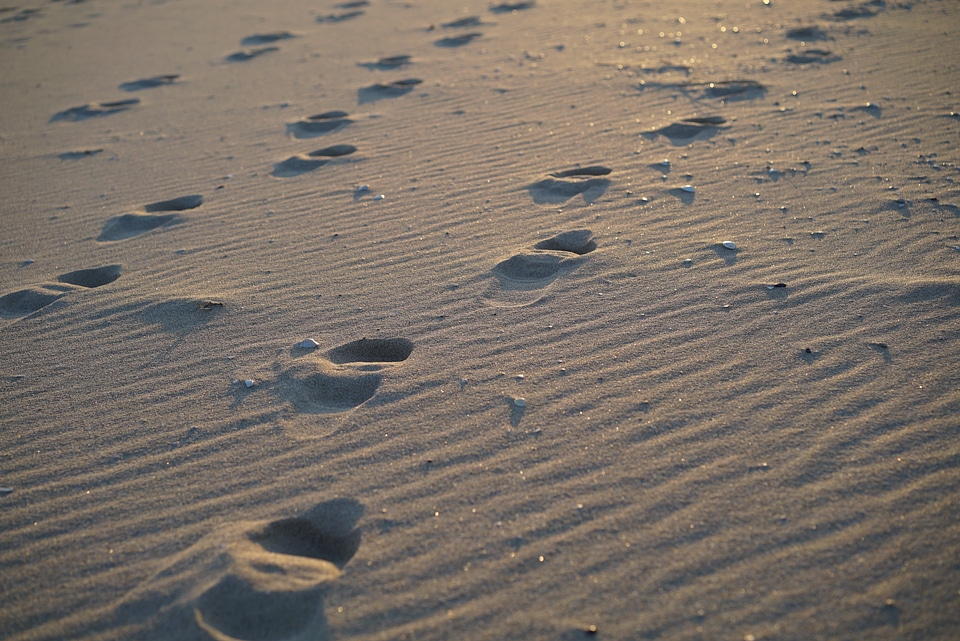 Sand winter sea sandy
