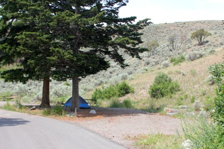Mammoth Hot Springs Campground