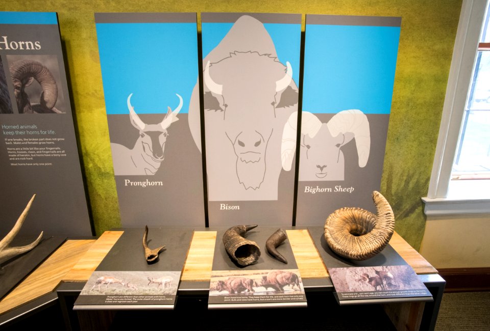 Exhibits in the Albright Visitor Center