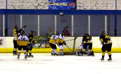 Firebees at Chelmsford
