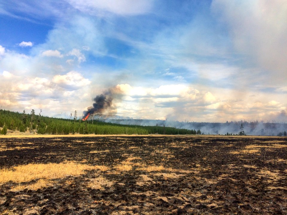 Maple Fire, August 14, 2016