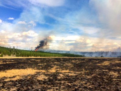 Maple Fire, August 14, 2016