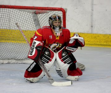 Bracknell Firebees Vs Basingstoke Bison Ladies