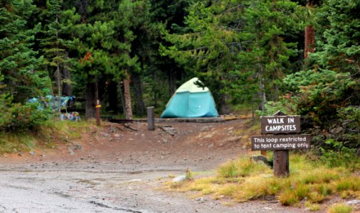 Lewis Lake Campground site