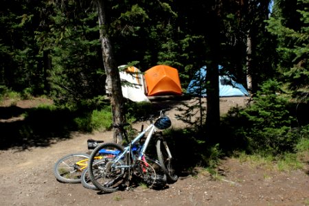Lewis Lake Campground site