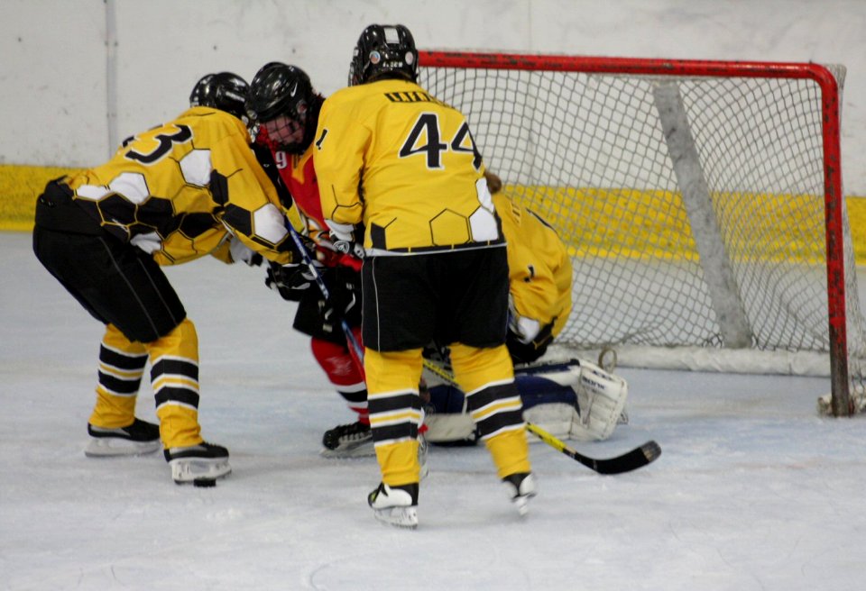 Bracknell Firebees Vs Basingstoke Bison Ladies