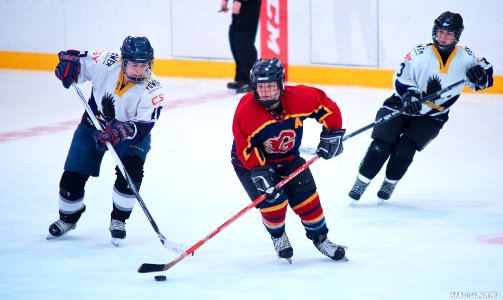 Ice Hockey: Guildford Lightning At Milton Keynes Falcons