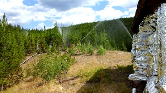 Maple Fire August 12, 2016
