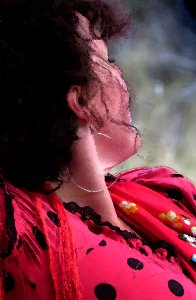 BORDERLAND FESTIVAL 2019 - Coronado National Memorial -39b - Juliana Thomas of Maha Via Flamenco - PHOTOSHOP WATERCOLOR