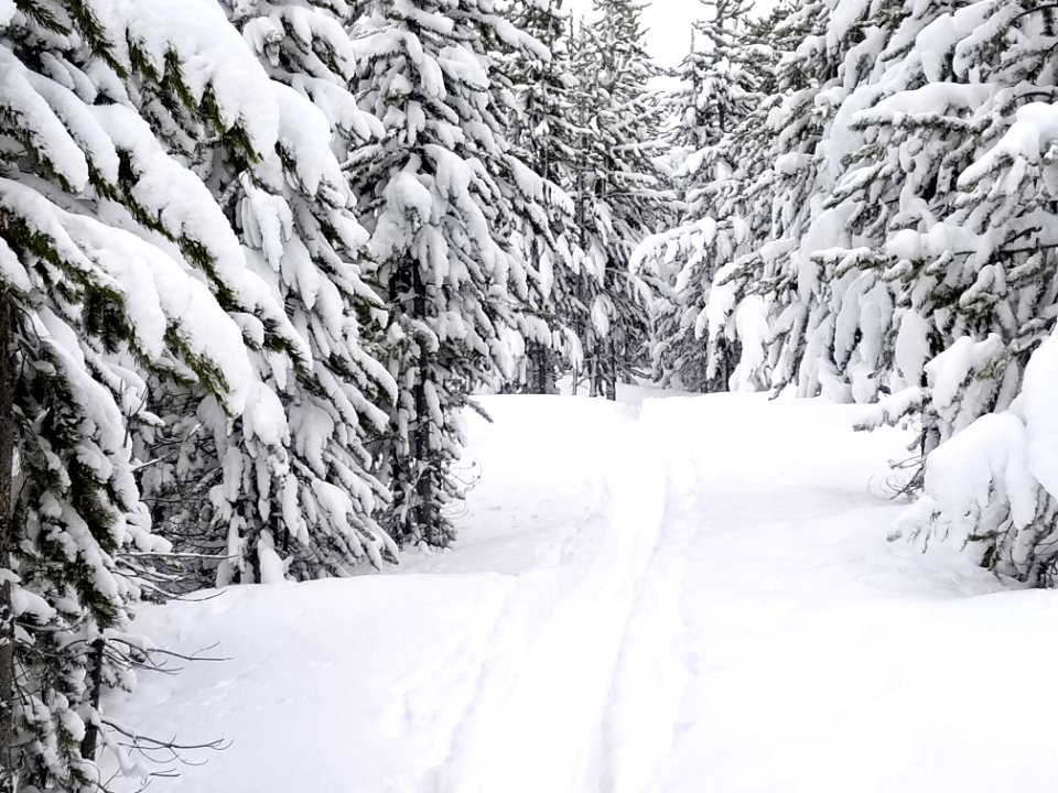 Howard Eaton Trail