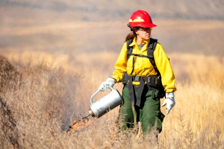 Cinnabar Basin prescribed burn project (27)