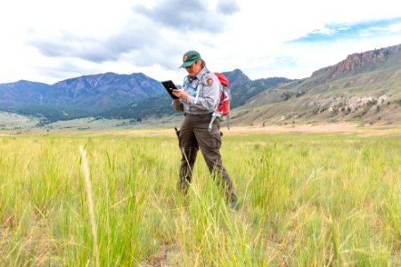 Vegetation ecologist, Stefanie Wacker, enters data collcted from a quadrat in Gardiner Basin photo