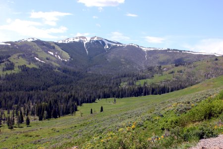 View of Mt. Washburn from Grand Loop Road south of Tower Campground