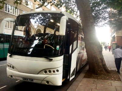 HORSEFERRY ROAD COACH BAYS. WHEN WILL WORSTMINSTER COUNCIL MARK THE TREE. photo