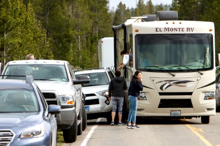 Minor vehicle accident in wildlife jam south of Mammoth