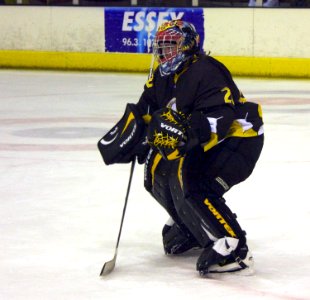Firebees at Chelmsford