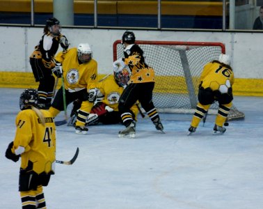 Bracknell Firebees Vs Chelmsford photo