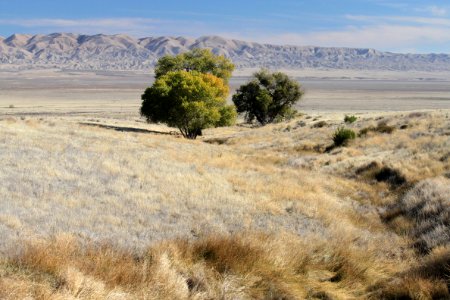 Saucito Ranch - 040d