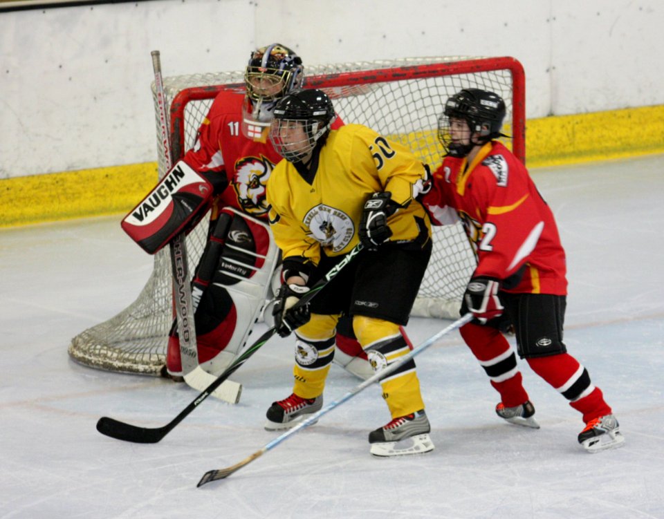 Bracknell Firebees Vs Basingstoke Bison Ladies
