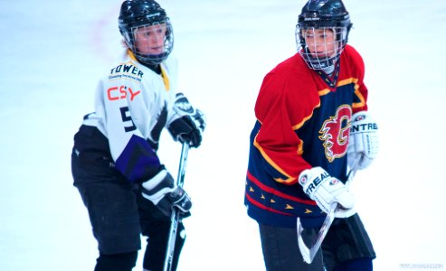 Ice Hockey: Guildford Lightning At Milton Keynes Falcons