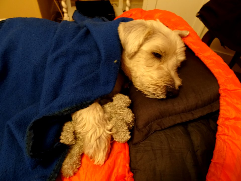 RESTING AFTER A DAY CLIMBING MOUNTAINS