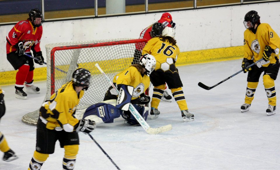 Bracknell Firebees Vs Basingstoke Bison Ladies