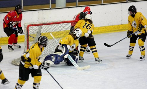 Bracknell Firebees Vs Basingstoke Bison Ladies