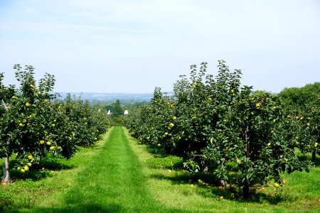 Kent The Garden of England