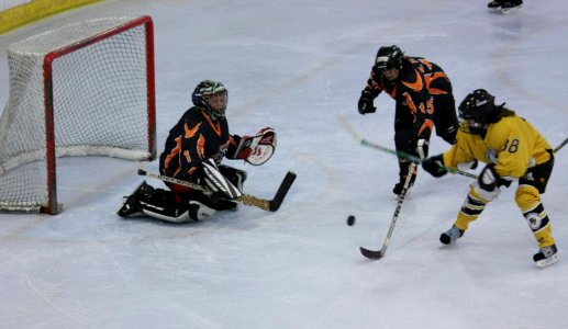Bracknell Firebees Vs Basingstoke Bears