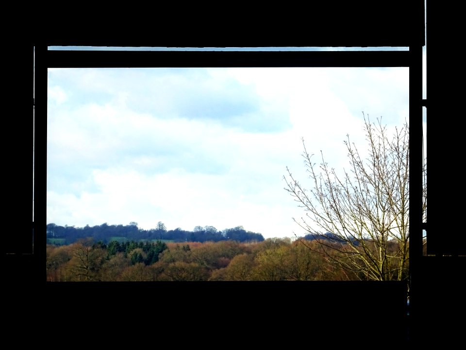 THE VIEW FROM THE BACK OF THE LAMBING SHED