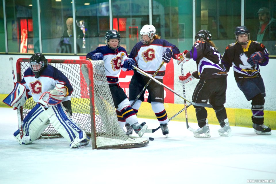 Ice Hockey - Guildford Lightning Vs Milton Keynes Falcons