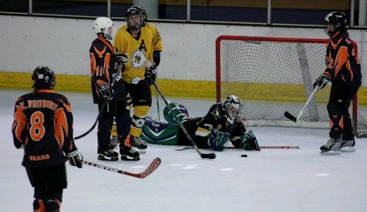 Bracknell Firebees Vs Basingstoke Bears