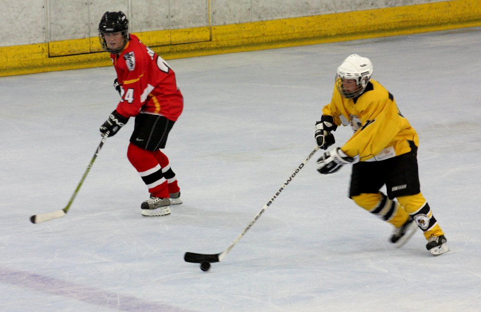Bracknell Firebees Vs Basingstoke Bison Ladies