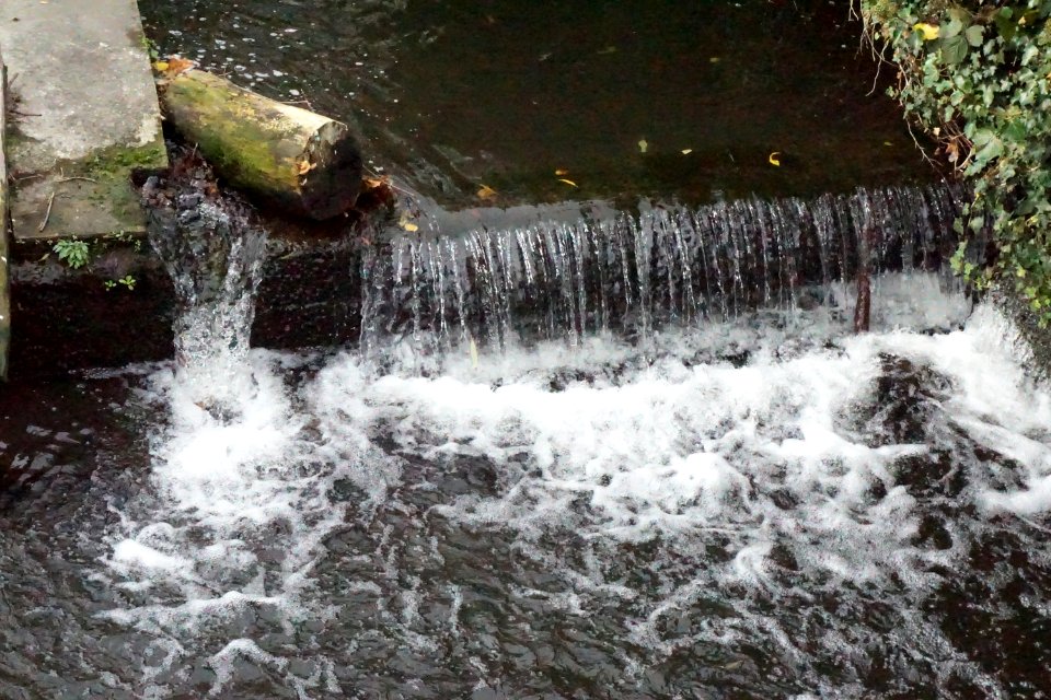 The River Cray at Hall Place Bexley