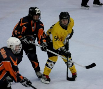 Bracknell Firebees Vs Basingstoke Bears
