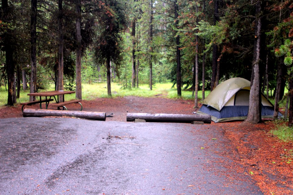 Bridge Bay Campground site