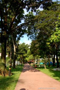 DSC 0147