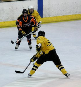 Bracknell Firebees Vs Basingstoke Bears