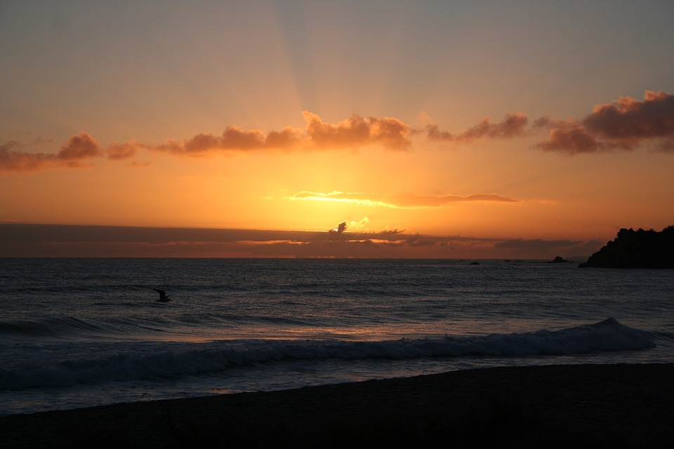 Sunrise morning beach photo
