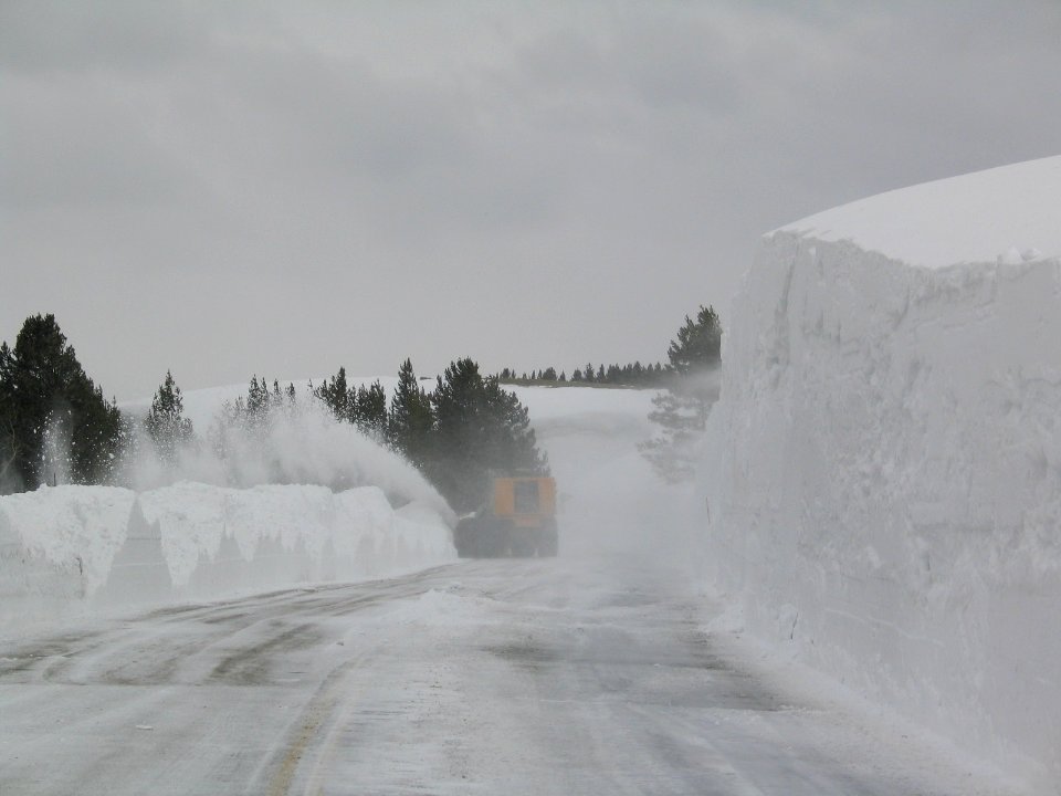 Grizzly Overlook Drift (5)