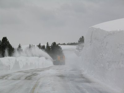 Grizzly Overlook Drift (5)