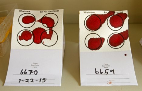20 of 35 Bison blood stain cards for preserving DNA samples 3617