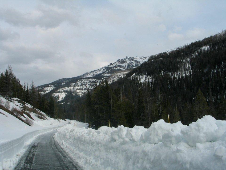 East Entrance Road, Single Cut